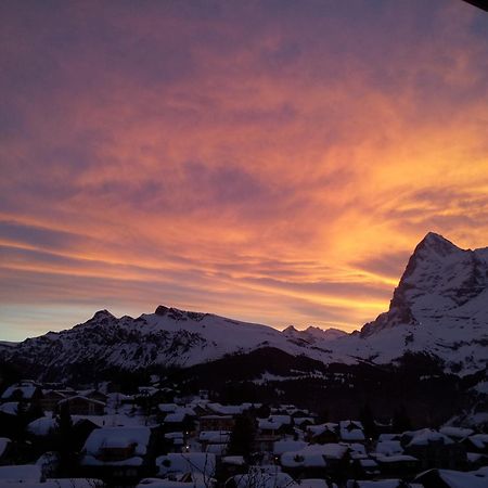 Chalet Schoenbuehl Mürren Buitenkant foto