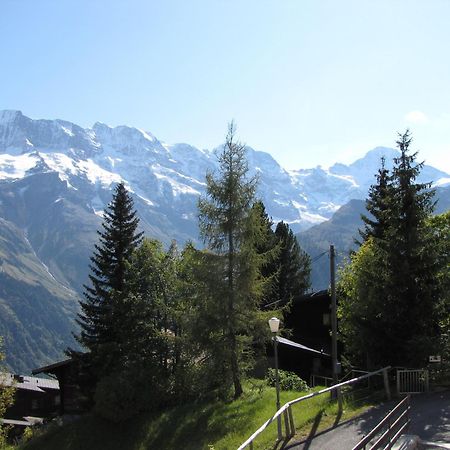 Chalet Schoenbuehl Mürren Buitenkant foto