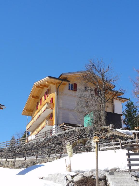 Chalet Schoenbuehl Mürren Buitenkant foto