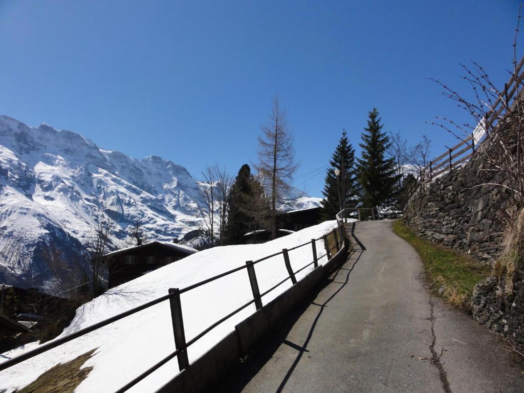 Chalet Schoenbuehl Mürren Buitenkant foto