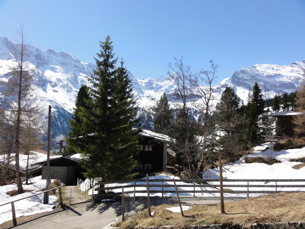 Chalet Schoenbuehl Mürren Buitenkant foto