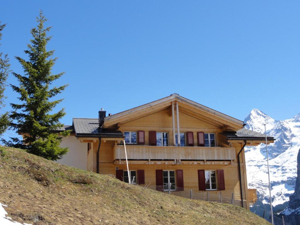 Chalet Schoenbuehl Mürren Buitenkant foto