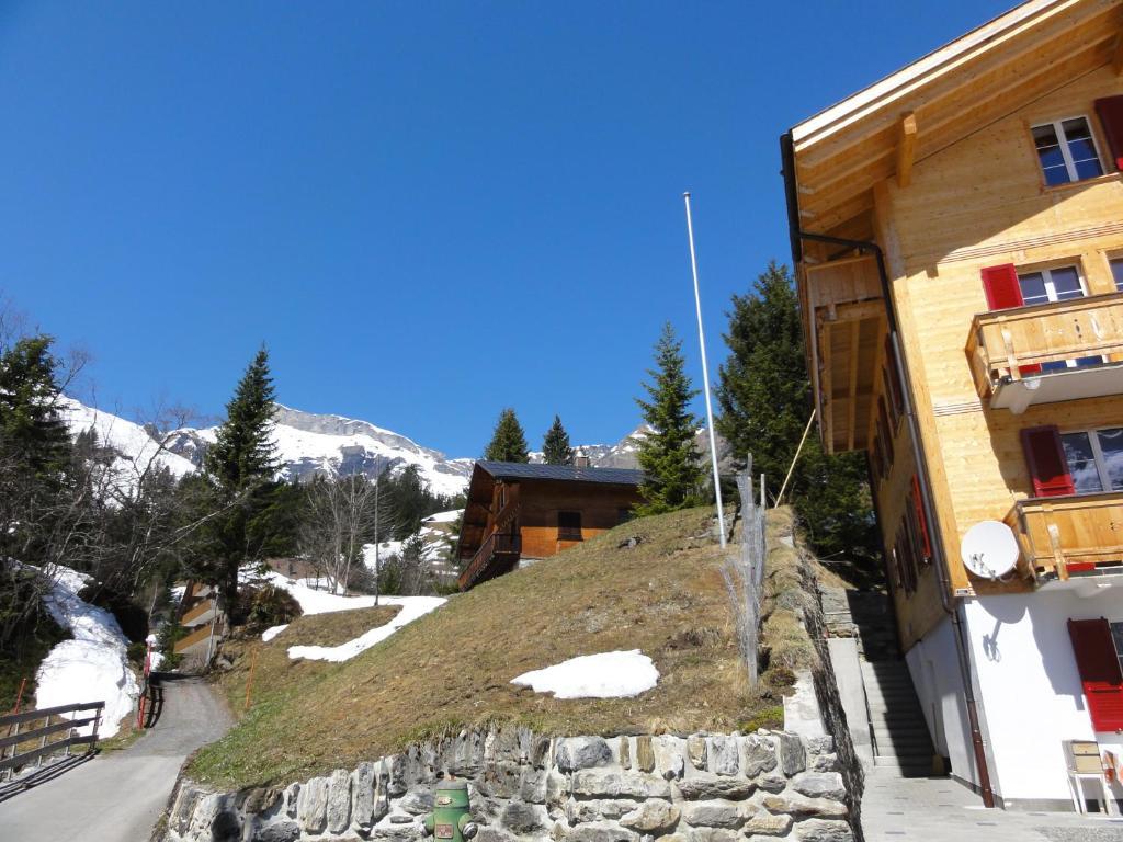 Chalet Schoenbuehl Mürren Buitenkant foto