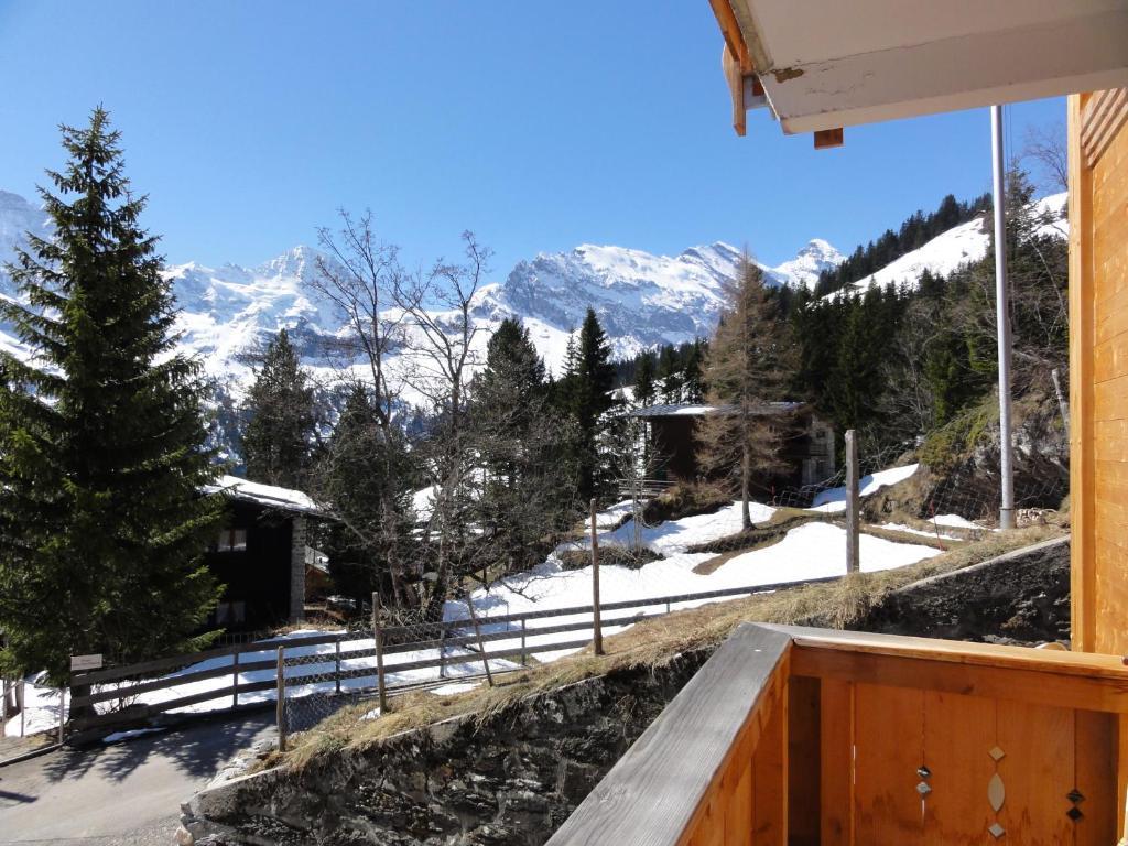 Chalet Schoenbuehl Mürren Buitenkant foto