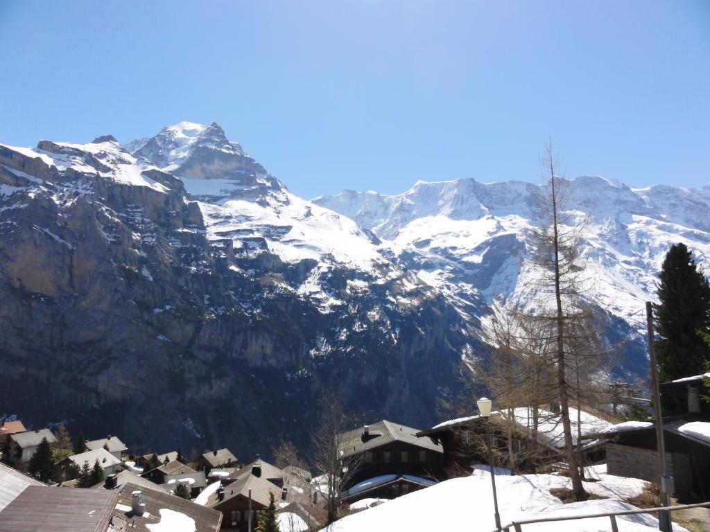 Chalet Schoenbuehl Mürren Buitenkant foto