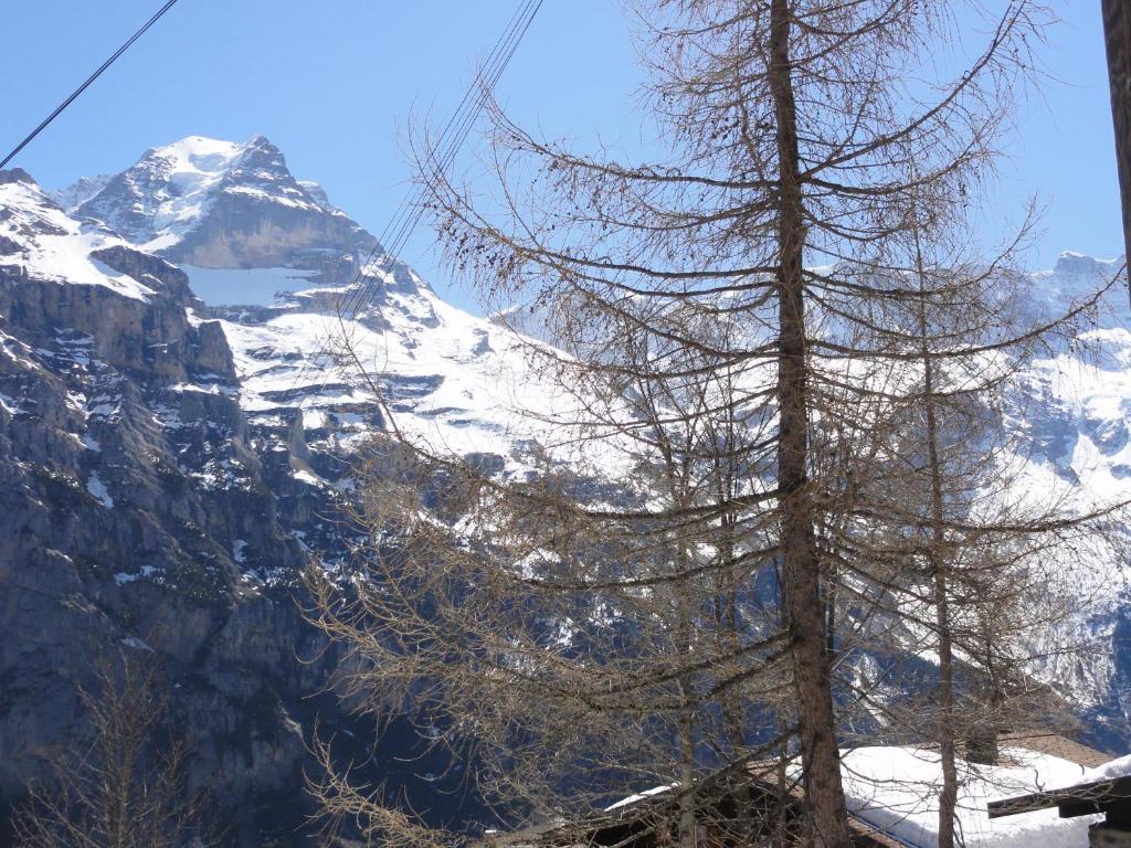 Chalet Schoenbuehl Mürren Buitenkant foto